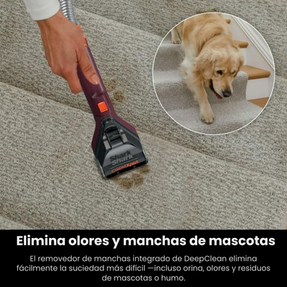 Aspiradora DeepClean™ - Elimina manchas, olores y humedad en minutos